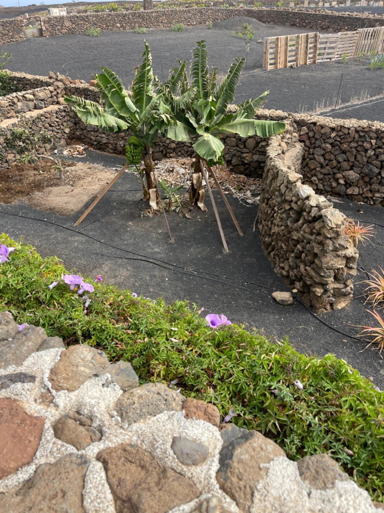 Villa Timanfaya ティナホ エクステリア 写真